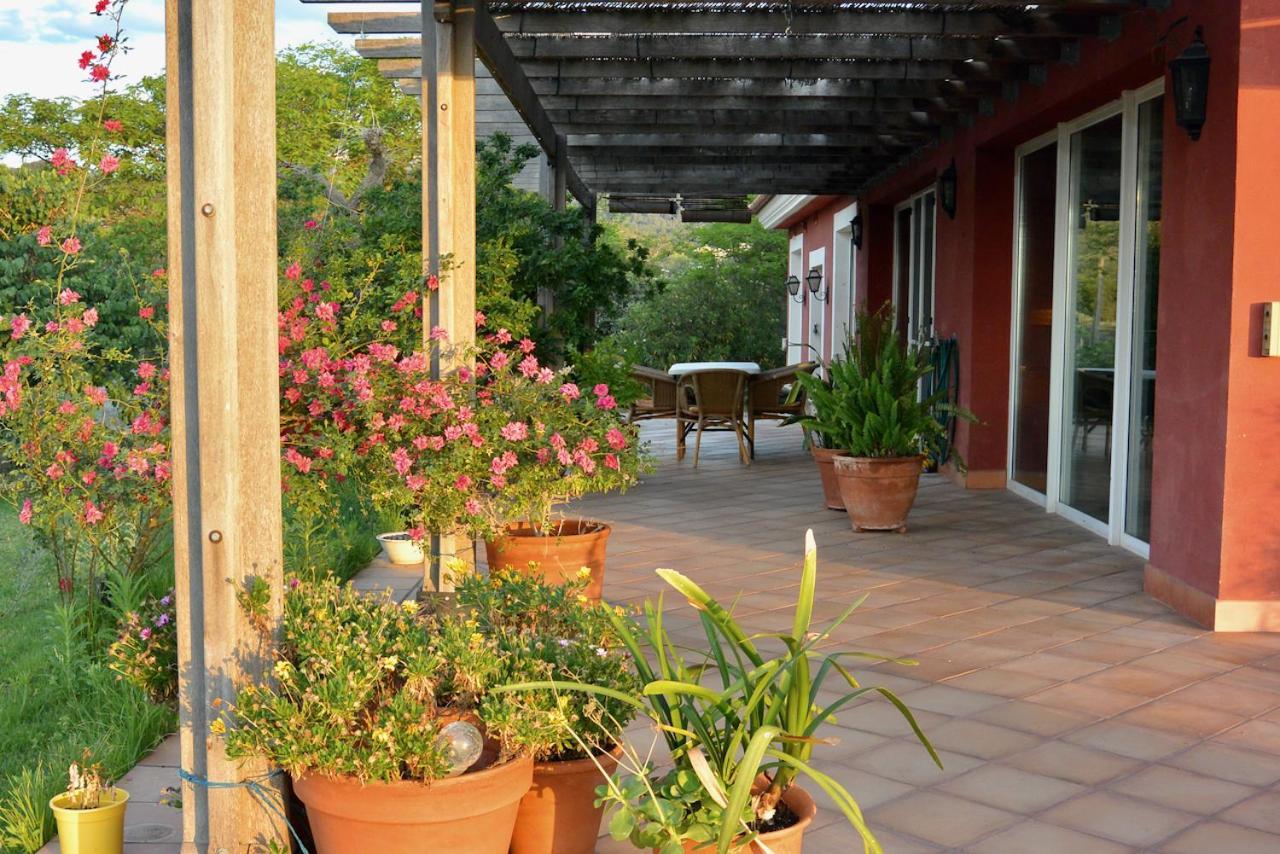 Апартаменти L'Albaida, Tranquility, Views Of Sea And Mountains Vilanova de Escornalbou Екстер'єр фото