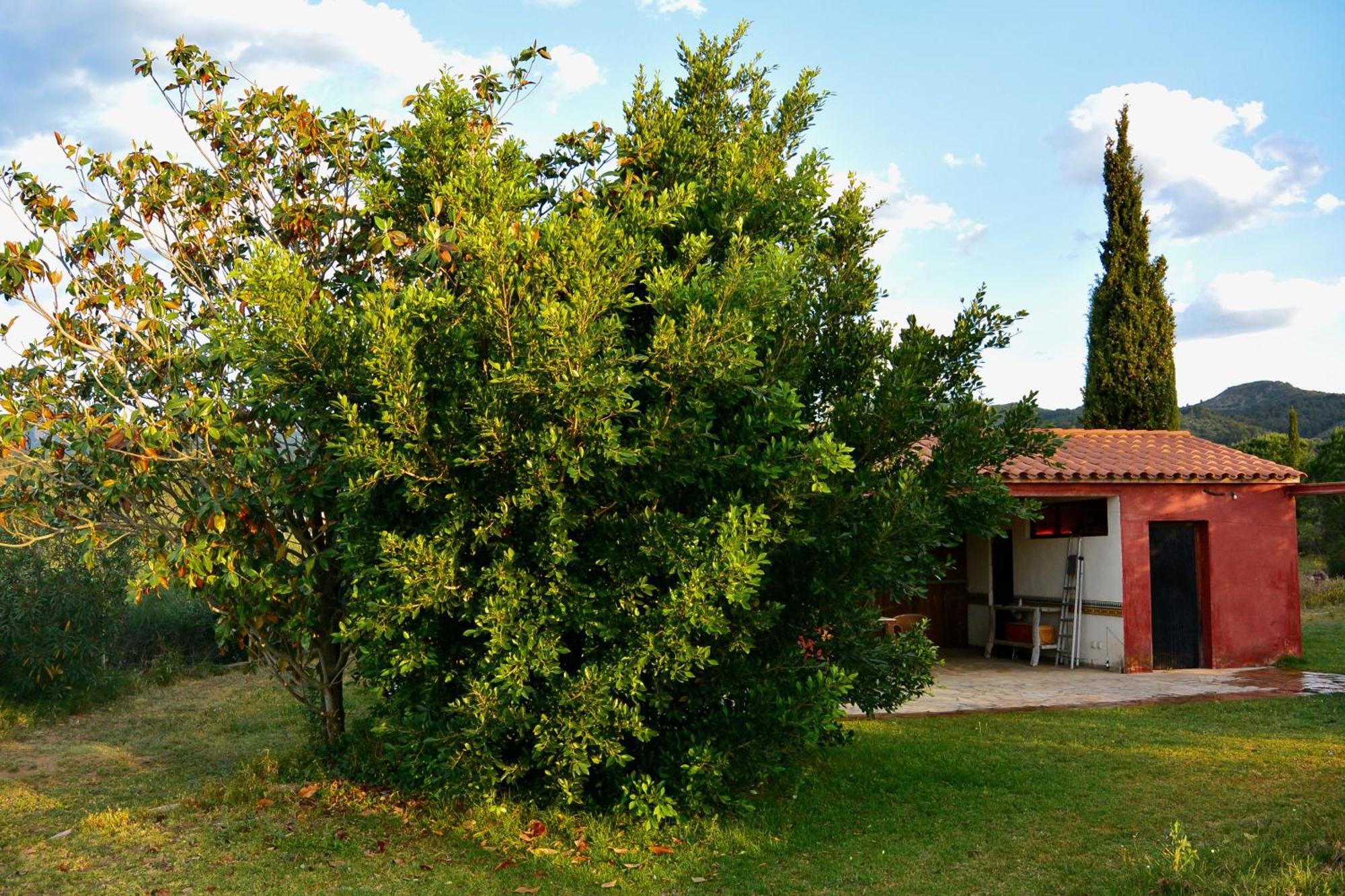 Апартаменти L'Albaida, Tranquility, Views Of Sea And Mountains Vilanova de Escornalbou Номер фото