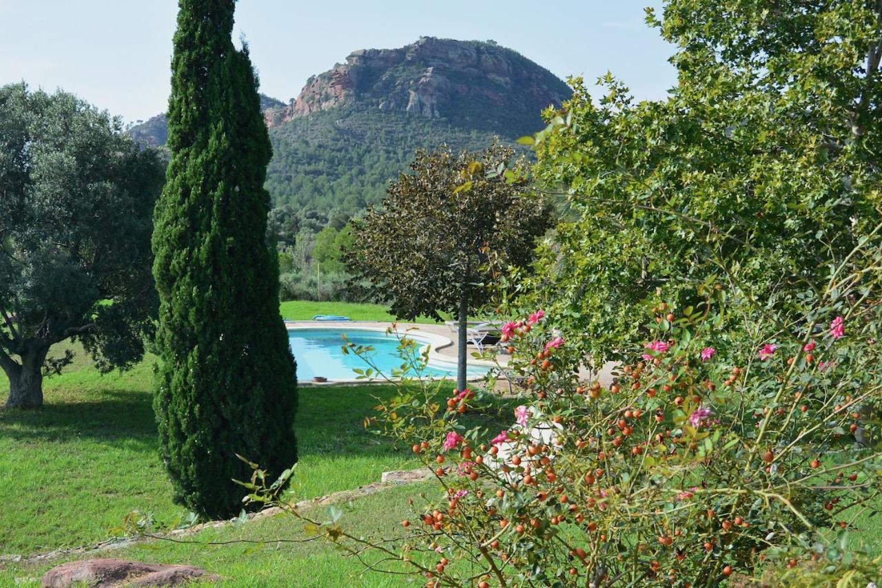 Апартаменти L'Albaida, Tranquility, Views Of Sea And Mountains Vilanova de Escornalbou Екстер'єр фото